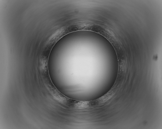 X0000091070138200708061309