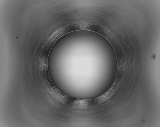 X0000091070140200708061309