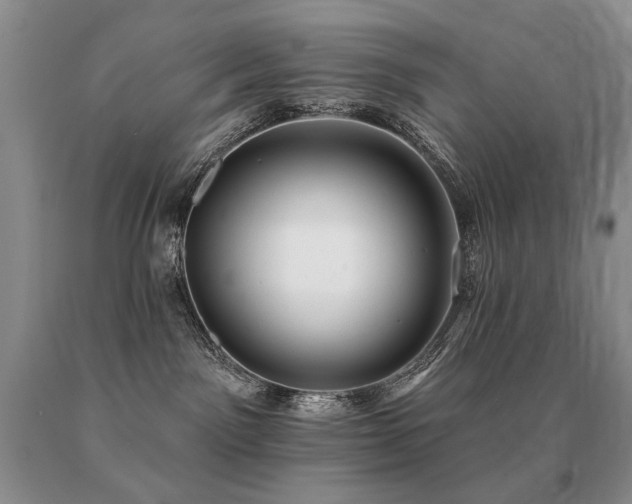 X0000091070141200708061309