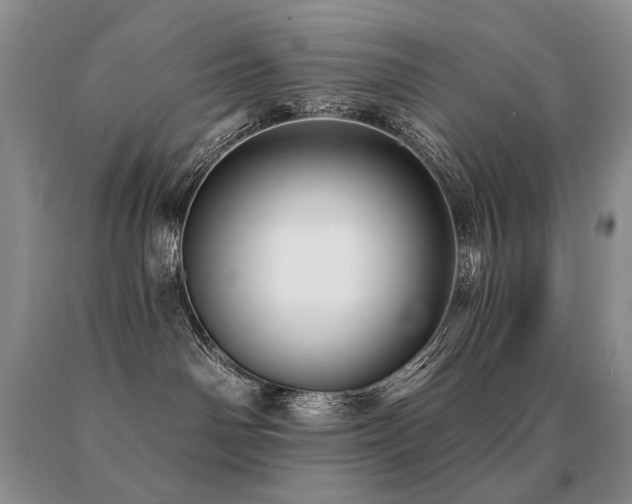 X0000091070142200708061309