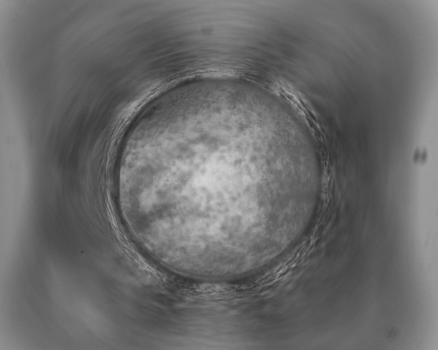 X0000091070145200708061308