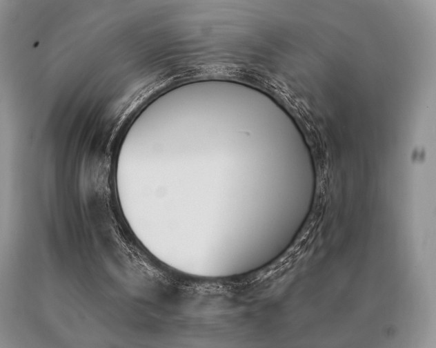 X0000091070146200708061308