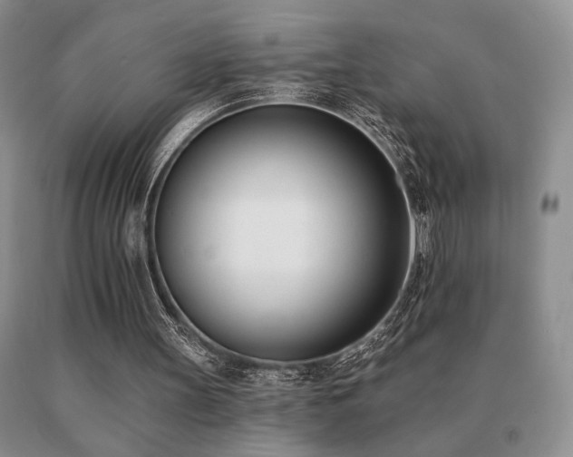 X0000091070147200708061308