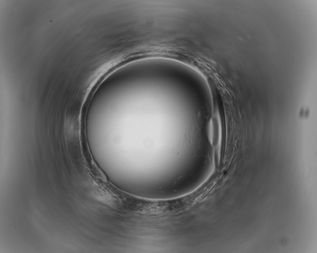 X0000091070148200708061308