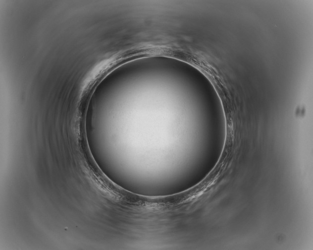 X0000091070149200708061308