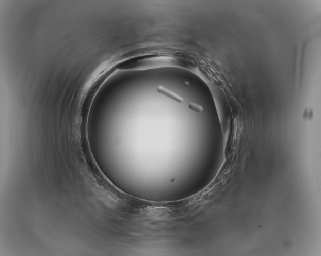 X0000091070150200708061308