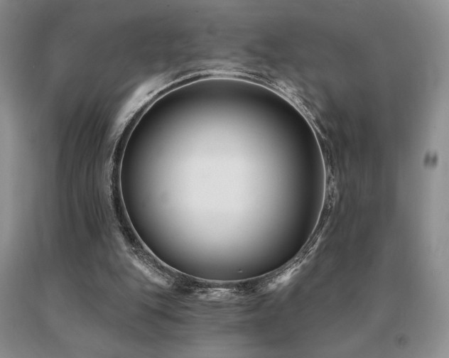 X0000091070151200708061308