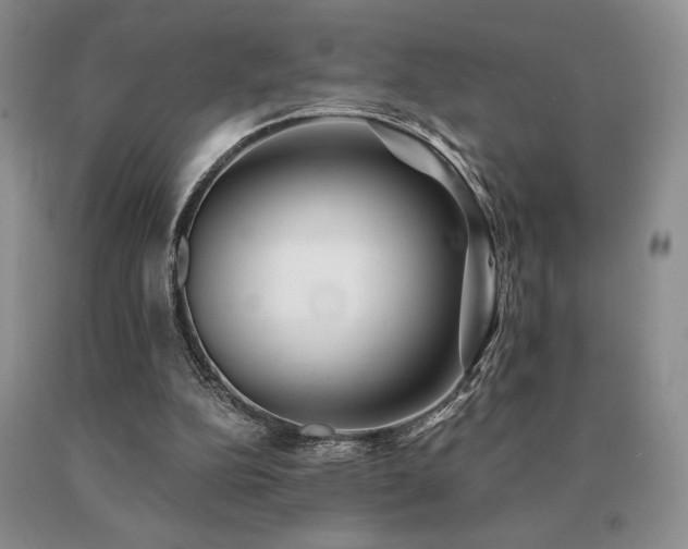 X0000091070152200708061308