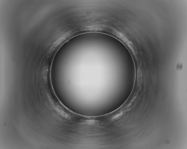 X0000091070153200708061308