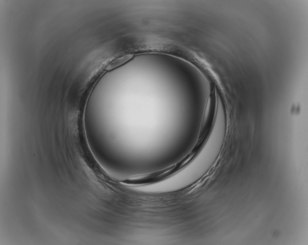 X0000091070154200708061308