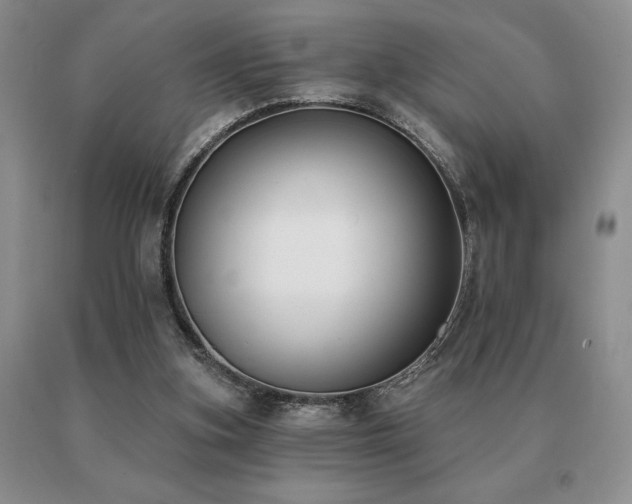 X0000091070155200708061308