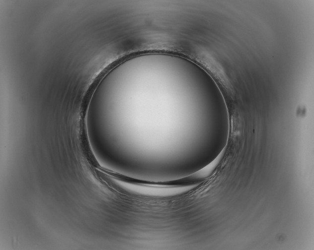 X0000091070156200708061308