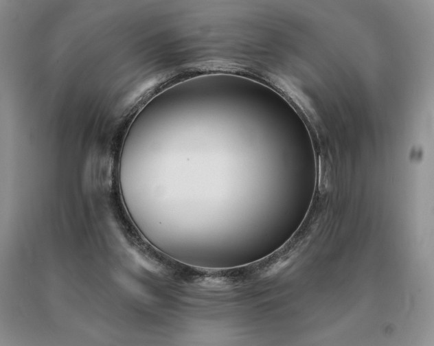 X0000091070157200708061308