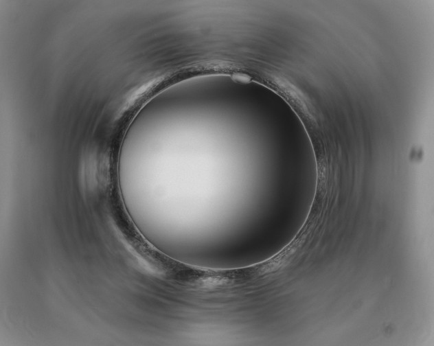 X0000091070158200708061308