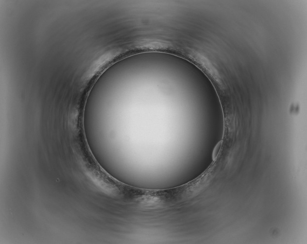X0000091070159200708061308