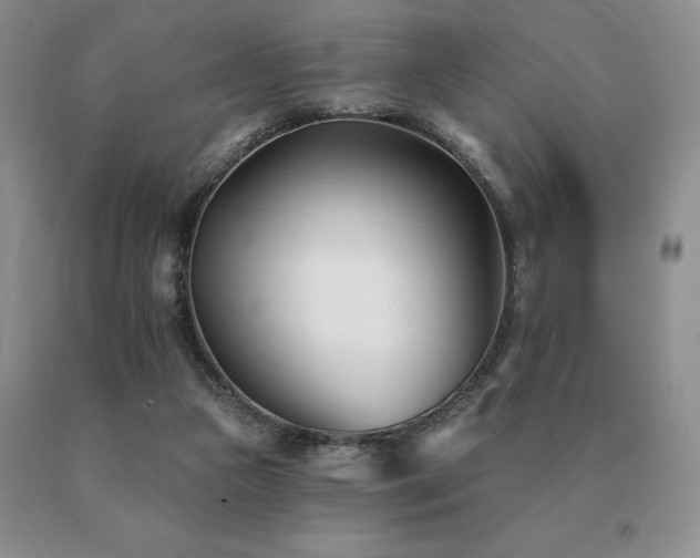 X0000091070161200708061308
