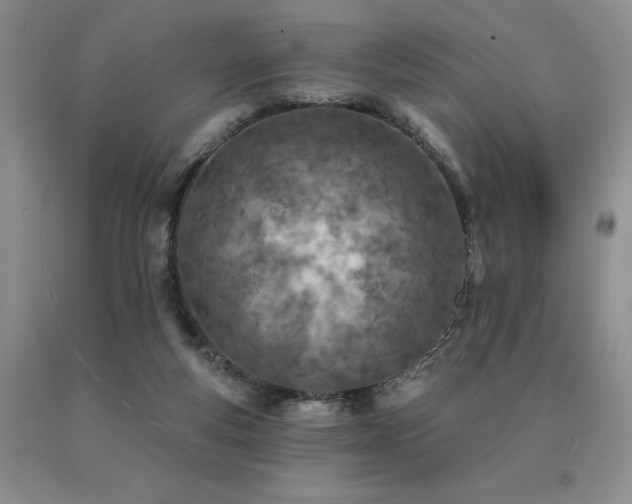 X0000091070163200708061308