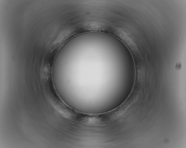 X0000091070165200708061309