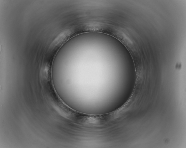 X0000091070166200708061309