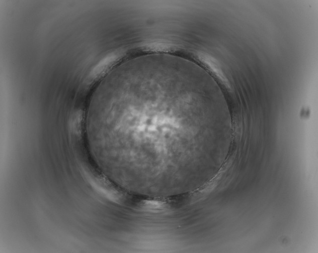 X0000091070167200708061309