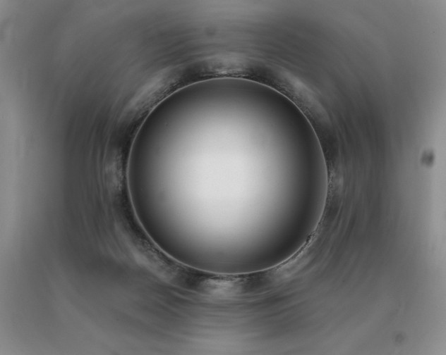 X0000091070170200708061309