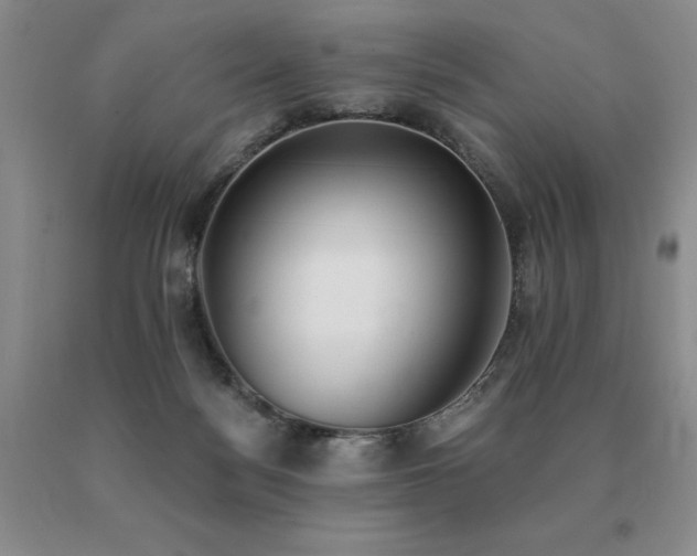 X0000091070172200708061309