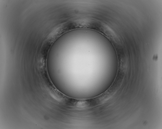 X0000091070173200708061309