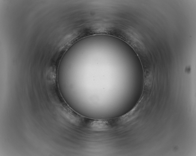 X0000091070179200708061309