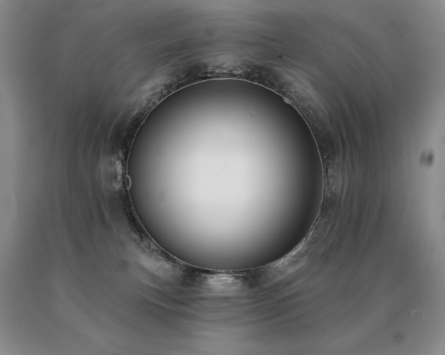 X0000091070183200708061309