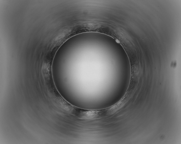 X0000091070184200708061309