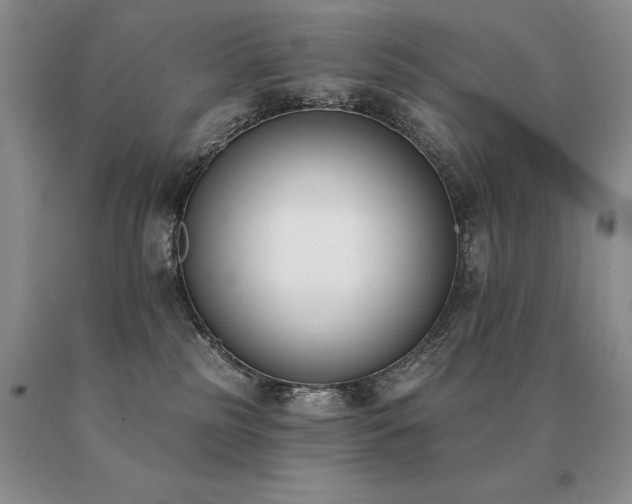 X0000091070185200708061309