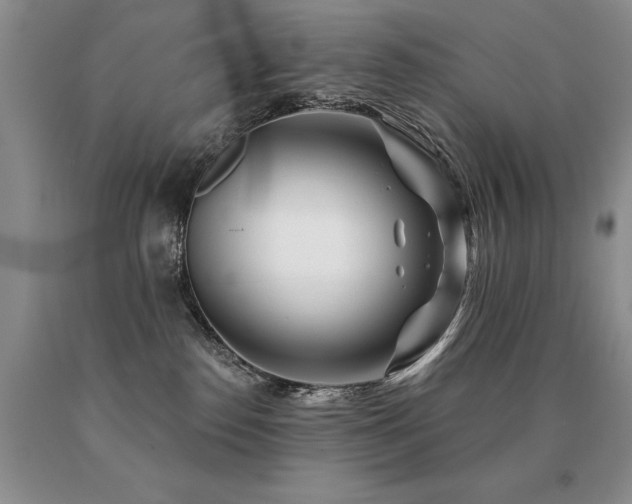X0000091070186200708061309