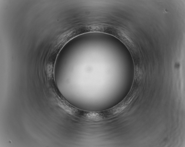 X0000091070189200708061309