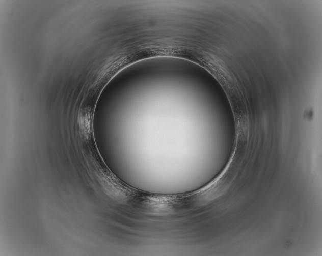 X0000091070190200708061309