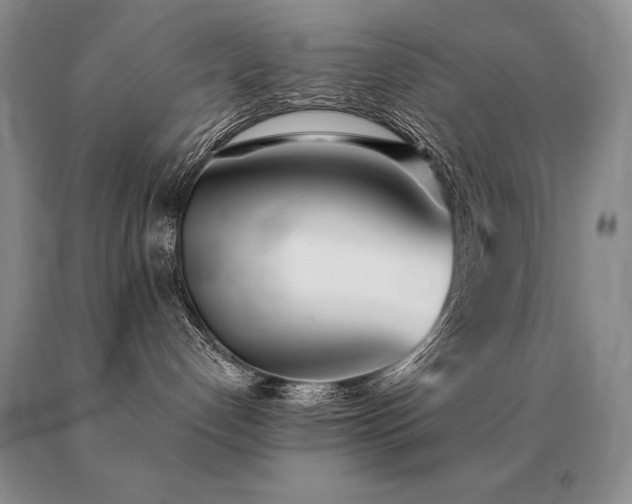 X0000091070192200708061309