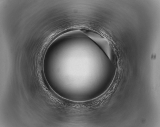 X0000091070193200708061308