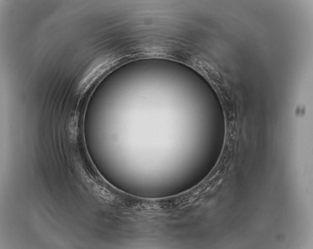 X0000091070194200708061308