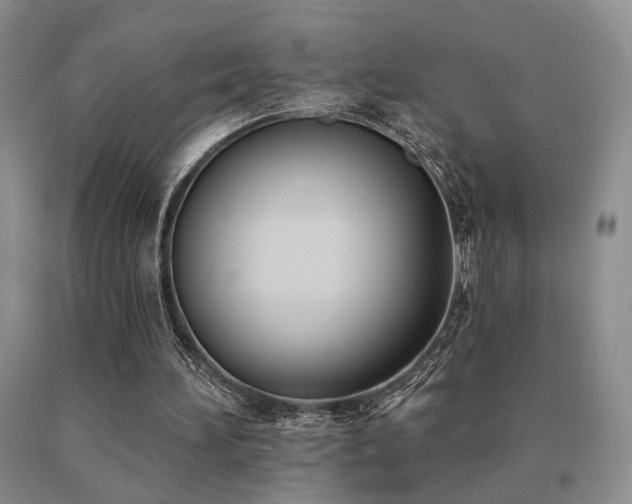 X0000091070196200708061308
