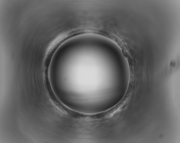 X0000091070197200708061308