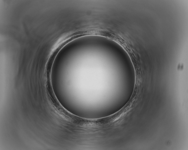 X0000091070198200708061308