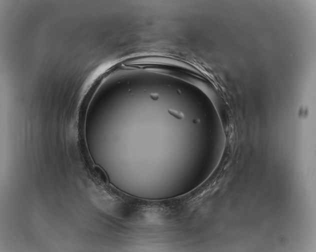 X0000091070200200708061308