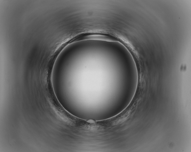 X0000091070201200708061308