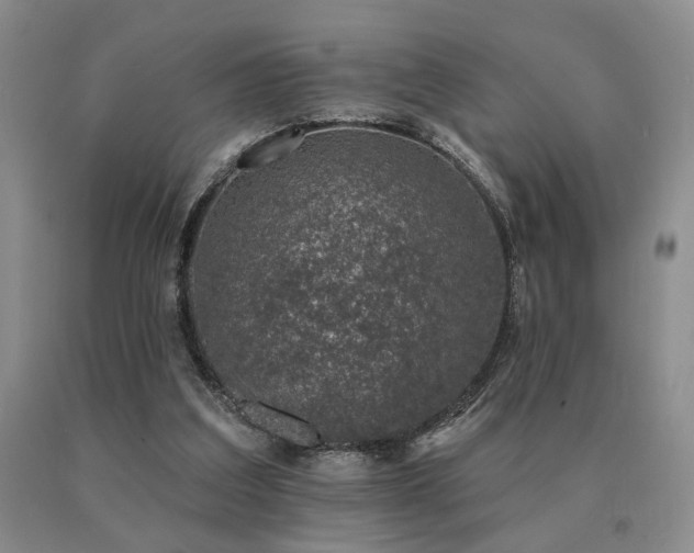 X0000091070203200708061308