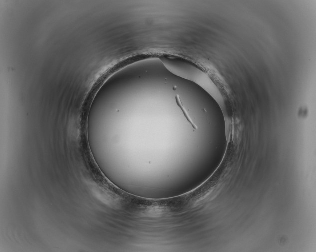 X0000091070204200708061308