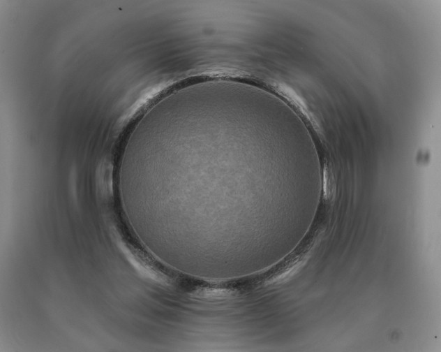 X0000091070205200708061308