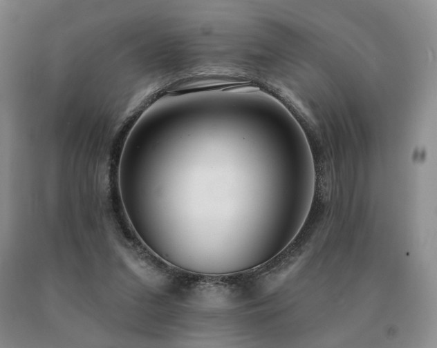 X0000091070207200708061308