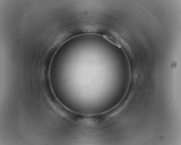 X0000091070209200708061308