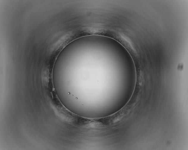 X0000091070210200708061308