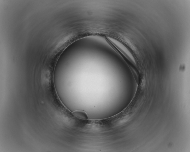 X0000091070211200708061308