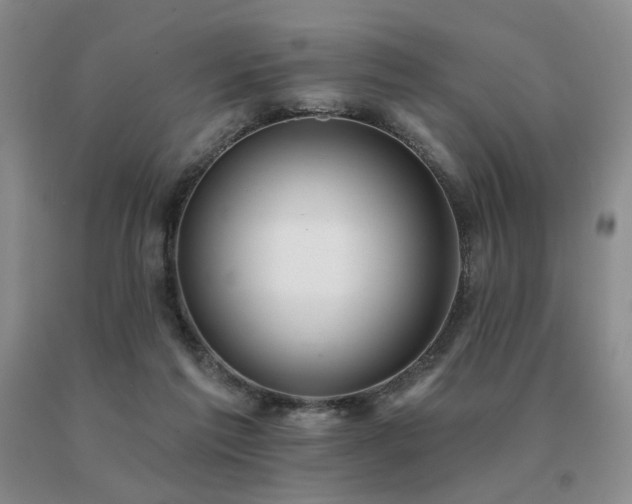 X0000091070213200708061308